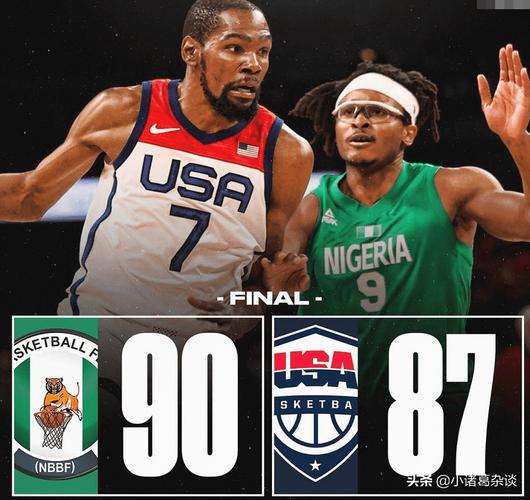 美国vs尼日利亚比分